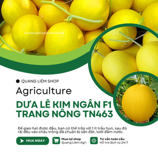 Dưa Lê Kim Ngân F1 TN463 (1gr) Trang Nông, Hạt Giống Nảy Mầm Tốt, Năng Suất Cao, Trông Quanh Năm