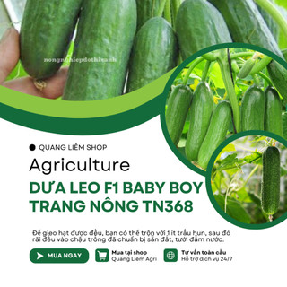 Dưa Leo F1 Baby Boy TN368 (1gr) Trang Nông, Hạt Giống Nảy Mầm Tốt, Năng Suất Cao, Trông Quanh Năm