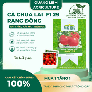 Hạt Giống Cà Chua Lai F1 RADO 29 (Gói 0,3g~70 Hạt) Rạng Đông, Cây Phát Triển Mạnh, Trồng Quanh Năm
