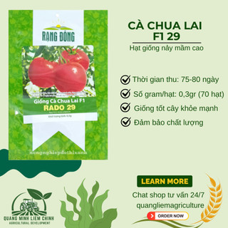 Hạt Giống Cà Chua Lai F1 RADO 29 (Gói 0,3g~70 Hạt) Rạng Đông, Cây Phát Triển Mạnh, Trồng Quanh Năm