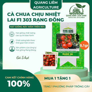 Hạt Giống Cà Chua Beef Lai F1 Sesa RADO 303 (Gói 5 Hạt) Rạng Đông, Dễ Chăm Sóc, Phát Triển Mạnh