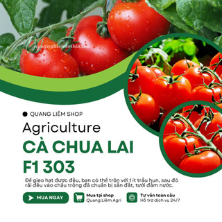 Hạt Giống Cà Chua Beef Lai F1 Sesa RADO 303 (Gói 5 Hạt) Rạng Đông, Dễ Chăm Sóc, Phát Triển Mạnh