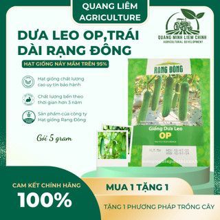 Hạt Giống Dưa Leo OP RADO (Gói 5g~80 Hạt) Rạng Đông, Sinh Trưởng Khỏe, Nhanh Thu Hoạch
