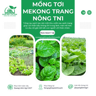 Mồng Tơi Mekong Trang Nông TN1 (50gram), Hạt Giống Nảy Mầm Tốt, Năng Suất Cao, Trông Quanh Năm