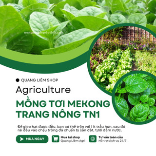 Mồng Tơi Mekong Trang Nông TN1 (50gram), Hạt Giống Nảy Mầm Tốt, Năng Suất Cao, Trông Quanh Năm