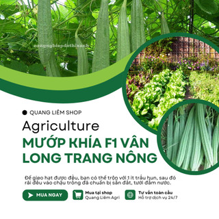 Mướp Khía F1 Vân Long TRANG NÔNG TN308 (1gr), Hạt Giống Nảy Mầm Tốt, Năng Suất Cao, Trông Quanh Năm