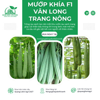 Mướp Khía F1 Vân Long TRANG NÔNG TN308 (1gr), Hạt Giống Nảy Mầm Tốt, Năng Suất Cao, Trông Quanh Năm