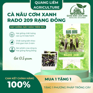 Hạt Giống Cà Nâu Cơm Xanh RADO 209 (Gói 0,5g~100 Hạt) Rạng Đông, Sinh Trưởng Khỏe, Trồng Quanh Năm
