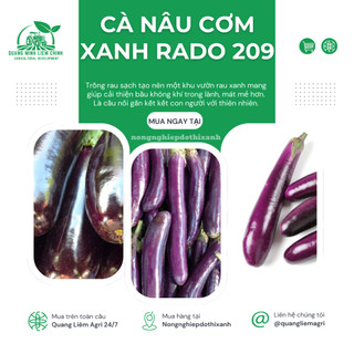 Hạt Giống Cà Nâu Cơm Xanh RADO 209 (Gói 0,5g~100 Hạt) Rạng Đông, Sinh Trưởng Khỏe, Trồng Quanh Năm