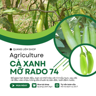 Hạt Giống Cà Xanh Mỡ RADO 74 (Gói 0,2gram~100 Hạt) Rạng Đông, Sai Trái, Ít Sâu Bệnh, Trồng Quanh Năm