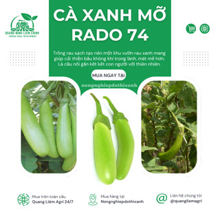 Hạt Giống Cà Xanh Mỡ RADO 74 (Gói 0,2gram~100 Hạt) Rạng Đông, Sai Trái, Ít Sâu Bệnh, Trồng Quanh Năm