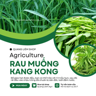 Rau Muống KANG KONG TN TRANG NÔNG (100gr), Hạt Giống Nảy Mầm Tốt, Năng Suất Cao, Trông Quanh Năm