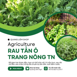 Rau Tần Ô TRANG NÔNG TN (20gr), (100gram) Trang Nông, Hạt Giống Nảy Mầm Tốt, Năng Suất Cao Quanh Năm
