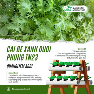 Cải Bẹ XANH ĐUÔI PHỤNG TN23 (20gram) Trang Nông, Hạt Giống Nảy Mầm Tốt, Năng Suất Cao