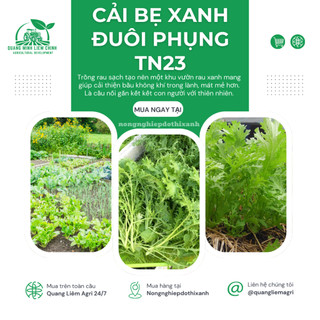 Cải Bẹ XANH ĐUÔI PHỤNG TN23 (20gram) Trang Nông, Hạt Giống Nảy Mầm Tốt, Năng Suất Cao