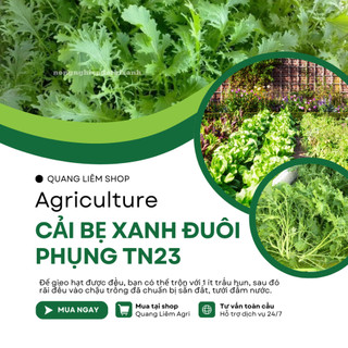 Cải Bẹ XANH ĐUÔI PHỤNG TN23 (20gram) Trang Nông, Hạt Giống Nảy Mầm Tốt, Năng Suất Cao
