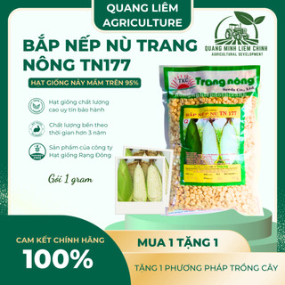 Bắp Nếp Nù Trang Nông TN177 (1kg) - hạt giống nảy mầm tốt, năng suất cao, trông quanh năm