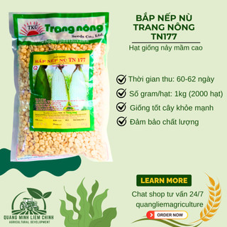 Bắp Nếp Nù Trang Nông TN177 (1kg) - hạt giống nảy mầm tốt, năng suất cao, trông quanh năm
