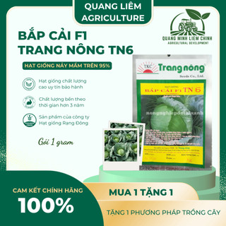 Bắp Cải F1 Trang Nông TN6 (1gram), hạt giống nảy mầm tốt, năng suất cao, trông quanh năm