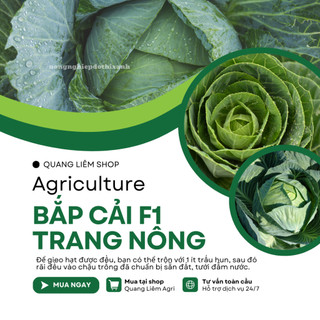 Bắp Cải F1 Trang Nông TN6 (1gram), hạt giống nảy mầm tốt, năng suất cao, trông quanh năm