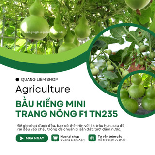 Bầu Kiểng Mini (Hồ Lô) F1 Trang Nông TN235 (0.6gram), hạt giống nảy mầm tốt, năng suất cao