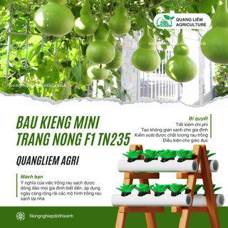Bầu Kiểng Mini (Hồ Lô) F1 Trang Nông TN235 (0.6gram), hạt giống nảy mầm tốt, năng suất cao