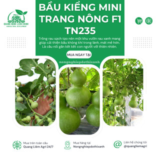Bầu Kiểng Mini (Hồ Lô) F1 Trang Nông TN235 (0.6gram), hạt giống nảy mầm tốt, năng suất cao
