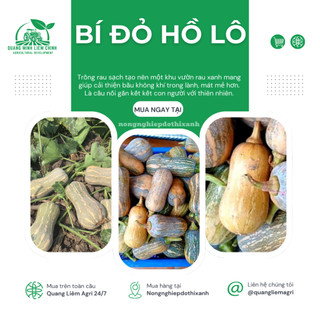 Bí đỏ Hồ Lô Trang Nông TN6 (2gram), hạt giống nảy mầm tốt, năng suất cao, trông quanh năm