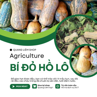 Bí đỏ Hồ Lô Trang Nông TN6 (2gram), hạt giống nảy mầm tốt, năng suất cao, trông quanh năm