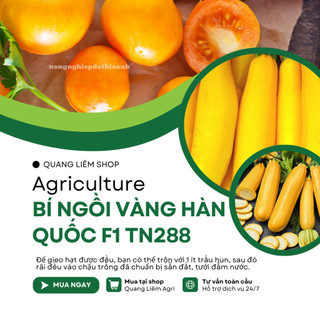 Bí Ngồi Vàng Hàn Quốc F1 Trang Nông TN288 (5gram), hạt giống nảy mầm tốt, năng suất cao quanh năm