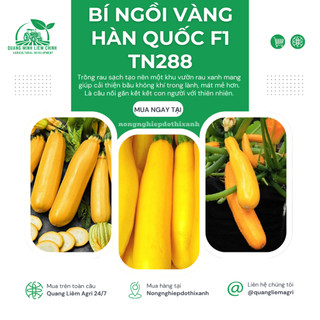 Bí Ngồi Vàng Hàn Quốc F1 Trang Nông TN288 (5gram), hạt giống nảy mầm tốt, năng suất cao quanh năm