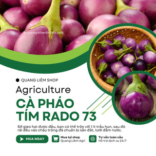 Hạt Giống Cà Pháo Tím RADO 73 (Gói 0,5g~100 Hạt) Rạng Đông, Nảy Mầm Tốt, Kháng Bệnh