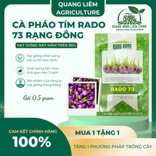 Hạt Giống Cà Pháo Tím RADO 73 (Gói 0,5g~100 Hạt) Rạng Đông, Nảy Mầm Tốt, Kháng Bệnh
