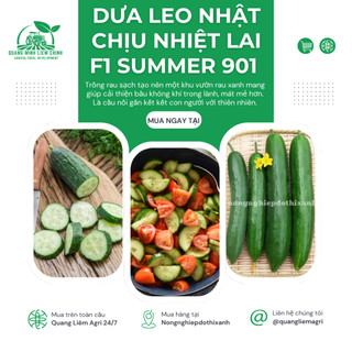 Hạt Giống Dưa Leo Nhật Chịu Nhiệt Summer RADO 901 (Gói 0,5g~25 Hạt) Rạng Đông, Dễ Chăm Sóc
