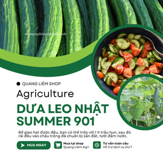 Hạt Giống Dưa Leo Nhật Chịu Nhiệt Summer RADO 901 (Gói 0,5g~25 Hạt) Rạng Đông, Dễ Chăm Sóc