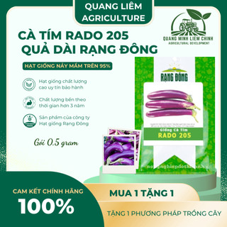 Hạt Giống Cà Tím RADO 205 (Gói 0,5g~100 Hạt) Rạng Đông, Quả Dài, Chịu Nhiệt Tốt, Sinh Trưởng Khỏe
