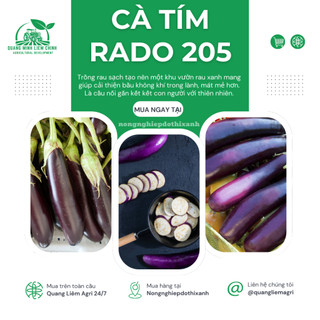 Hạt Giống Cà Tím RADO 205 (Gói 0,5g~100 Hạt) Rạng Đông, Quả Dài, Chịu Nhiệt Tốt, Sinh Trưởng Khỏe