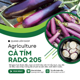 Hạt Giống Cà Tím RADO 205 (Gói 0,5g~100 Hạt) Rạng Đông, Quả Dài, Chịu Nhiệt Tốt, Sinh Trưởng Khỏe