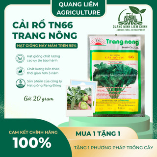 Cải Rổ TN66 Trang Nông (20gram), hạt giống nảy mầm tốt, năng suất cao, trông quanh năm