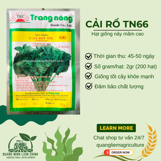 Cải Rổ TN66 Trang Nông (20gram), hạt giống nảy mầm tốt, năng suất cao, trông quanh năm