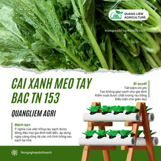 Cải Xanh Mèo Tây Bắc TN153 (20GRAM) Trang Nông, Hạt Giống Nảy Mầm Tốt, Năng Suất Cao, Trông Quanh Năm