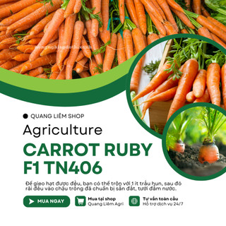 Carrot Ruby (Cà Rốt) F1 TN406 Trang Nông (1gram), hạt giống nảy mầm tốt, năng suất cao quanh năm