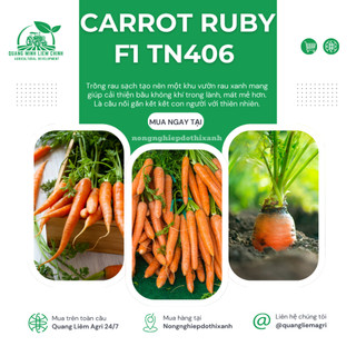 Carrot Ruby (Cà Rốt) F1 TN406 Trang Nông (1gram), hạt giống nảy mầm tốt, năng suất cao quanh năm