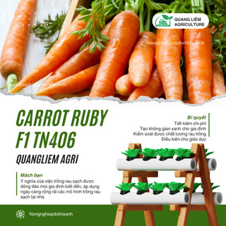 Carrot Ruby (Cà Rốt) F1 TN406 Trang Nông (1gram), hạt giống nảy mầm tốt, năng suất cao quanh năm