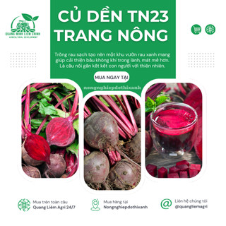 Củ Dền TN23 Trang Nông (5gram), hạt giống nảy mầm tốt, năng suất cao, trông quanh năm