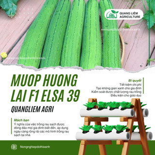 Hạt Giống Mướp Hương Lai F1 Elsa RADO 39 (Gói 1g~10 Hạt) Rạng Đông, Cây Phát Triển Mạnh, Năng Suất