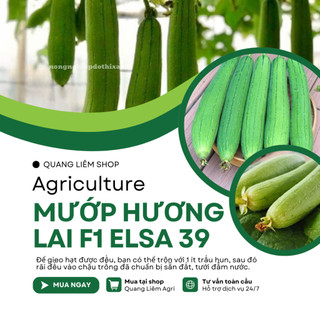 Hạt Giống Mướp Hương Lai F1 Elsa RADO 39 (Gói 1g~10 Hạt) Rạng Đông, Cây Phát Triển Mạnh, Năng Suất