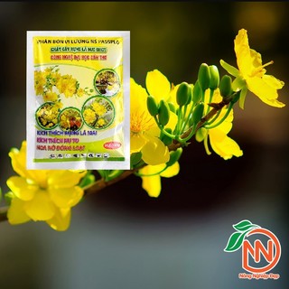 Chất Gây Rụng Lá Mai Đại Học Cần Thơ Gói 180g - Xịt Rụng Lá Mai không Ảnh Hưởng Đến Bông