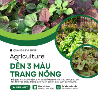 Dền 3 Màu Trang Nông (50gram), hạt giống nảy mầm tốt, năng suất cao, trông quanh năm