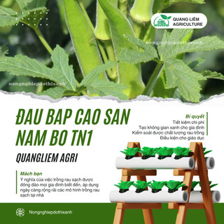 Đậu Bắp Cao Sản Nam bộ TN1 Trang Nông (50gram), hạt giống nảy mầm tốt, năng suất cao trông quanh năm